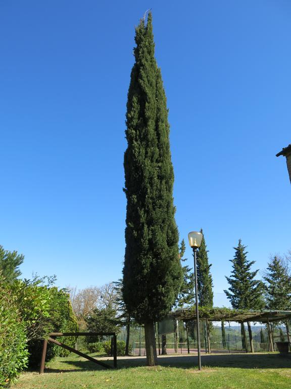 Agriturismo Il Palagetto Pomarance Exterior photo